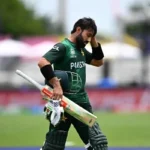 ٹرمپ سے بے نیاز، چینی والدین بچوں کے لیے ‘امریکی خواب’ کا تعاقب کرتے ہیں